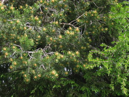 ��������, ������, 7 ���� 2004