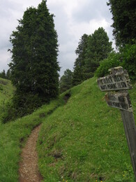 ��������, ������, 7 ���� 2004