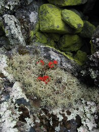 ������������ ������, 29 ���� 2004