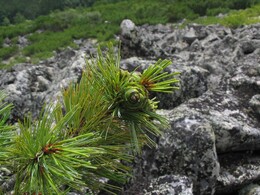 ������������ ������, 29 ���� 2004