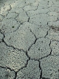 ������������ ������, 3 ������� 2004