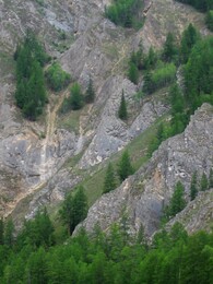 ������������ ������, 7 ������� 2004