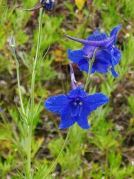 ������������ ������, 7 ������� 2004