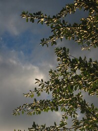 ������ ���� ��������, 9 ������� 2004