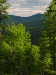 �������� ������, 15 ������� 2004