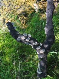 �������� ������, 18 ������� 2004