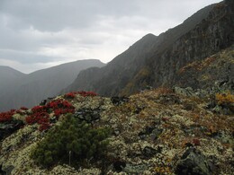 �������� ������, 20 ������� 2004