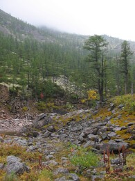 �������� ������, 21 ������� 2004