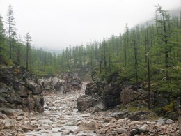 �������� ������, 21 ������� 2004