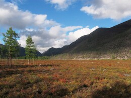 �������� ������, 21 ������� 2004