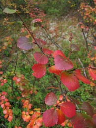 �������� ������, 24 ������� 2004