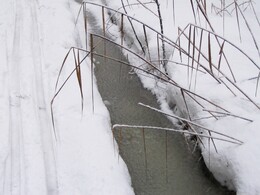 ������ ����� �������� - ����������, 22 ������ 2005