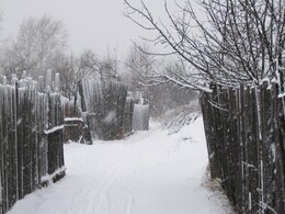 ������ ����� �������� - ����������, 22 ������ 2005