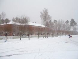 ������� ����������, 22 ������ 2005