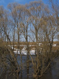 ����� �� ���� ������ � ����� �. � ����� �., 10 ������ 2005