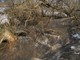 ����� �� ���� ������, 10 ������ 2005