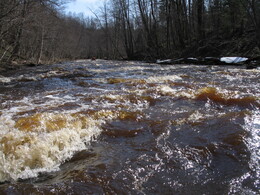 ����� �� ������ ������ � ����� �. � ������ �. ���� �������, 24 ������ 2005