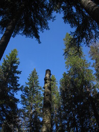 ����� �� ����� ��������� �������������, 3 ��� 2005