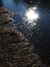 ����� �� ����� ��������� �������������, 3 ��� 2005