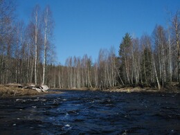 ����� �� ����� ��������� �������������. ���� �������, 5 ��� 2005