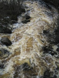 ����� �� ���� �����, 8 ��� 2005