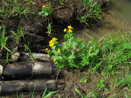 �������� ���, 14 ��� 2005