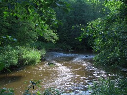 ����� �������� ������� �� ���� ������� ������, 3 ���� 2005