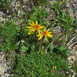 ����� �� ��������., 27 ���� 2005