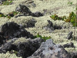 ����� �� ��������. ������ � �����, 27 ���� 2005