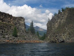 ����� �� ��������. ������� ������ �� ���, 31 ���� 2005