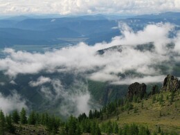 ����� �� ��������, ����������� �� ���� �����-���. , 1 ������� 2005