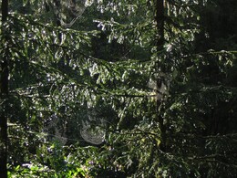 ����� � ����������� ����. ������ ������� � ������ ��������, 9 ������� 2005