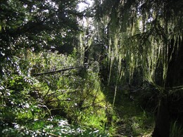 ����� � ����������� ����, 9 ������� 2005