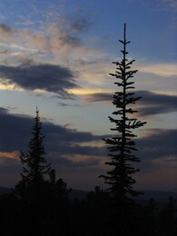 ����� � ����������� ����, 9 ������� 2005