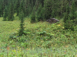 ����� � ����������� ����, 11 ������� 2005