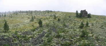 ����� � ����������� ����, 12 ������� 2005