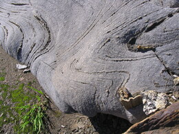 ����� � ����������� ����. �������� � �����, 19 ������� 2005