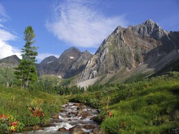 ����� � ����������� ����. �������� ���� �������, 19 ������� 2005