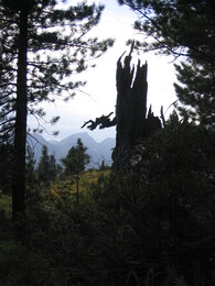 ����� � ����������� ����. �������� ���� �������, 19 ������� 2005