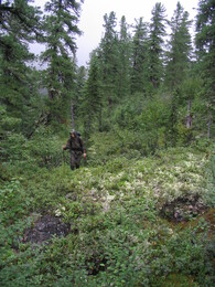 ����� � ����������� ����. ������ ���� ������� ����, 20 ������� 2005