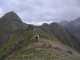 ����� � ����������� ����, 22 ������� 2005