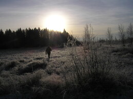 ���������� ���, 29 ������� 2005