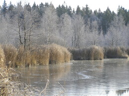 ���������� ���, 29 ������� 2005