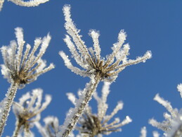 ���������� ���, 29 ������� 2005