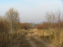 ����� �� ���������� �������������, 4 ������ 2005