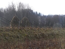 ����� �� ���������� �������������, 5 ������ 2005