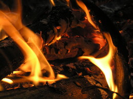 ����� �� ���������� �������������, 6 ������ 2005