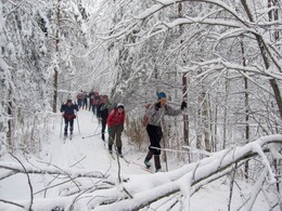 ������ ����� ������� - ������� � ������� ���������, 10 ������� 2005