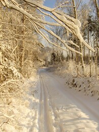 ������ ����� ������� - ������� � ������� ���������, 10 ������� 2005