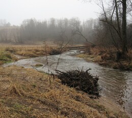 ���� ������� ������, �����������, 14 ������ 2007